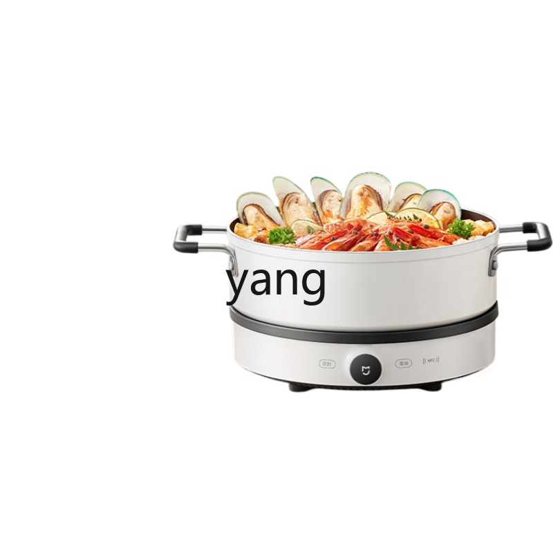 Induction Cooker - Fornello a Induzione LMM Multifunzione per