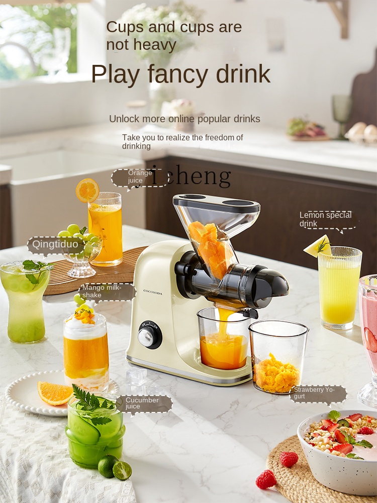 Centrifuga a Bassa Velocità cc - Juicer recensione e prezzo