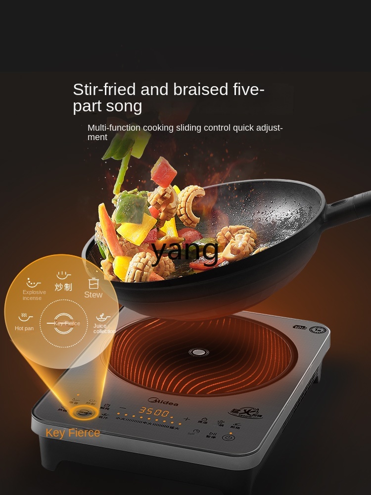Fornello a Induzione Domestico - Induction Cooker recensione e prezzo