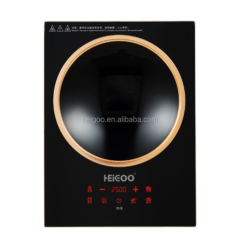 Fornello a induzione elettrico - Induction Cooktop Portable recensione e prezzo