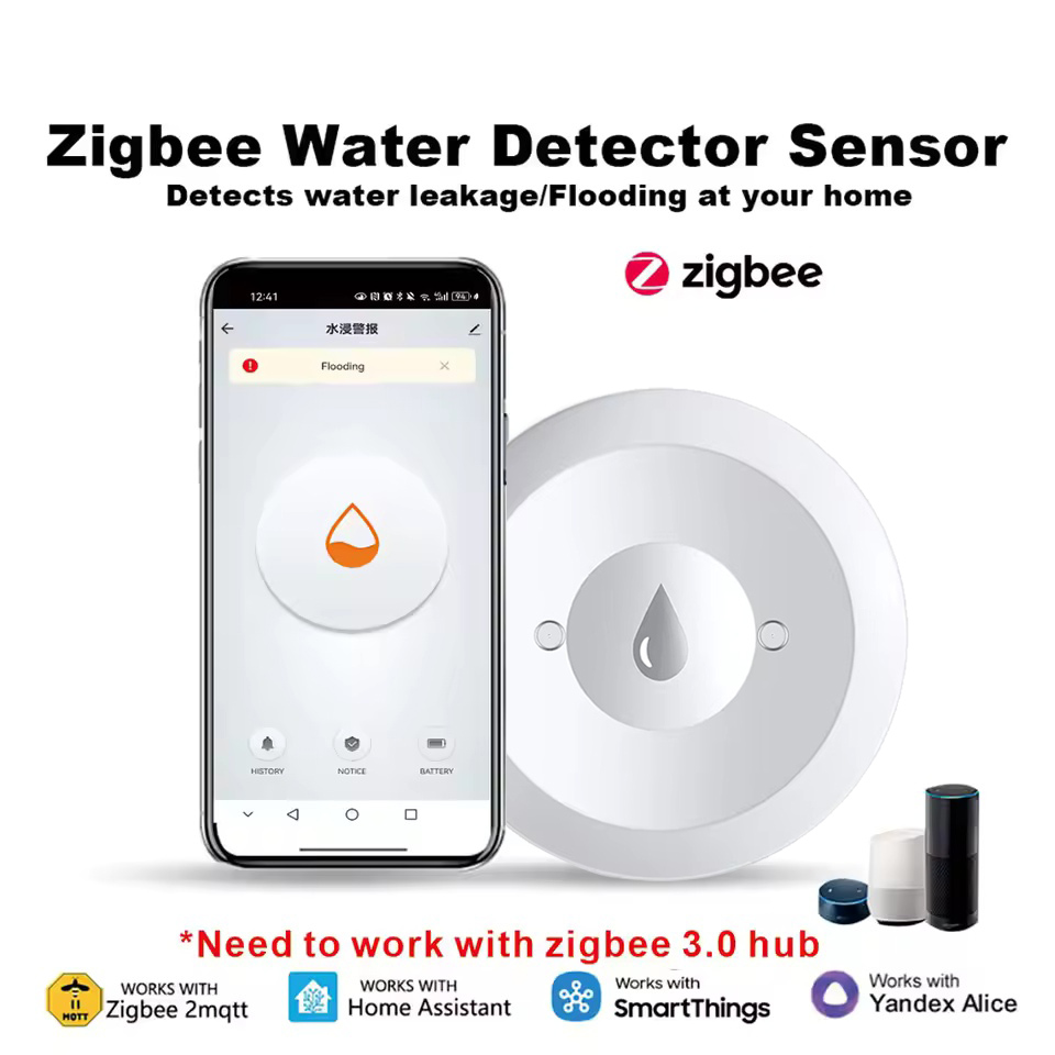 Sensore d'Acqua Zigbee, Rileva - Kitchen Appliances Video recensione e prezzo