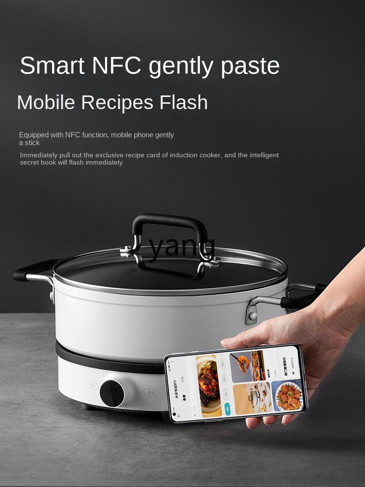 Fornello a Induzione LMM Multi - Induction Cooker recensione e prezzo