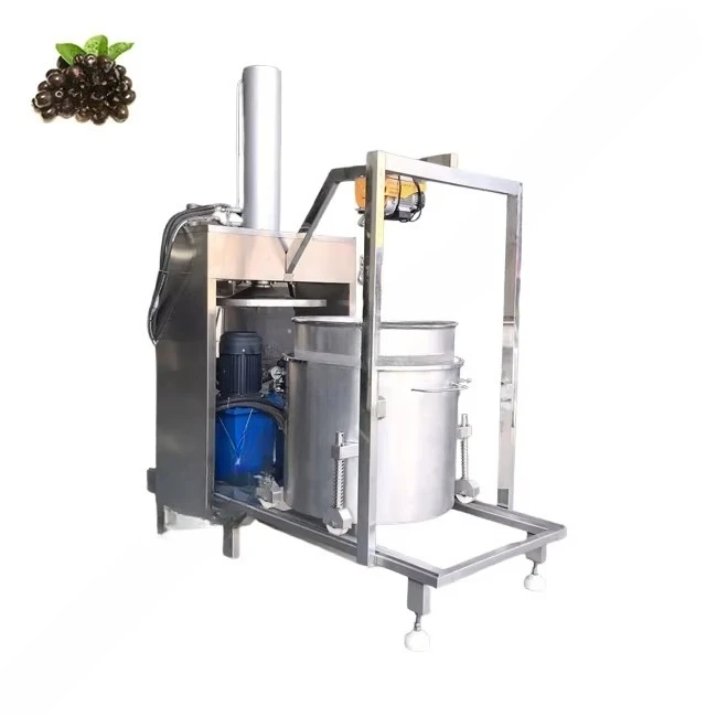 Pressa idraulica industriale p - Juicer recensione e prezzo
