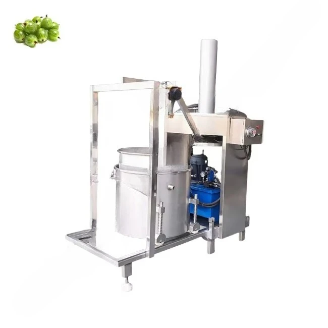 Pressa idraulica industriale p - Juicer recensione e prezzo