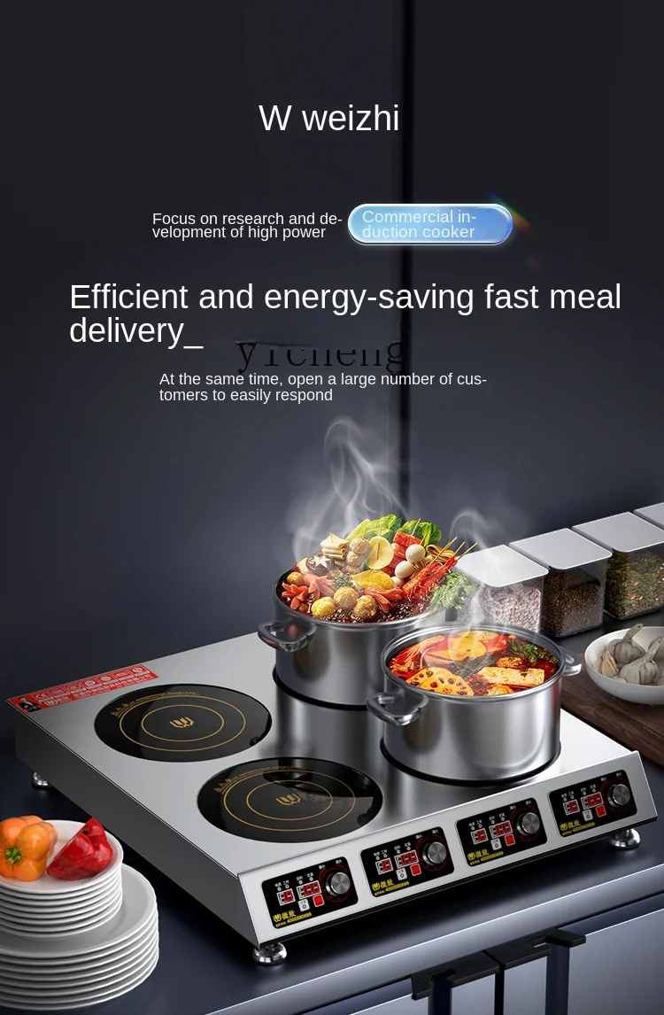 Fornello a induzione commercia - Induction Cooker recensione e prezzo