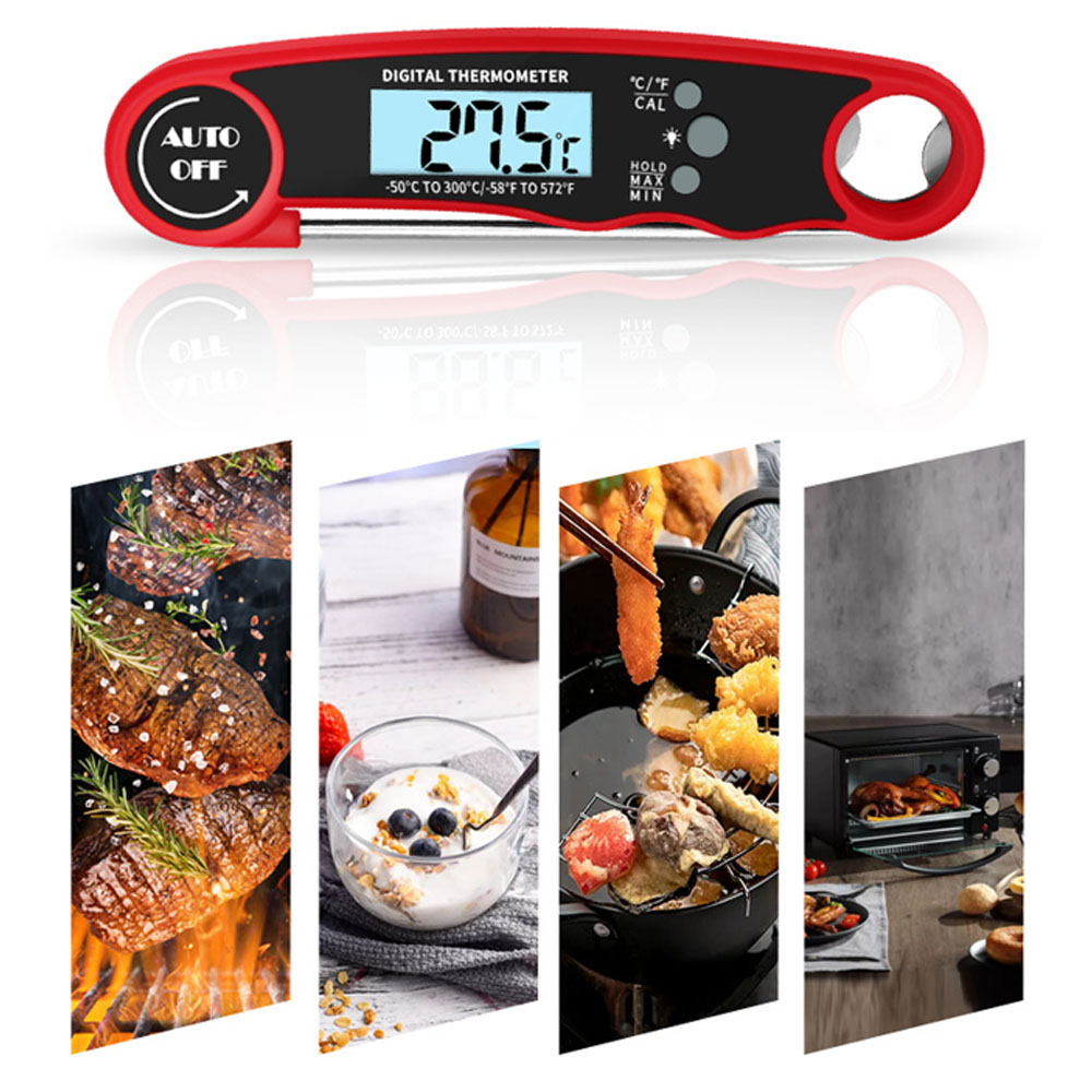 Termometro Digitale per Carne  - Air Fryer recensione e prezzo