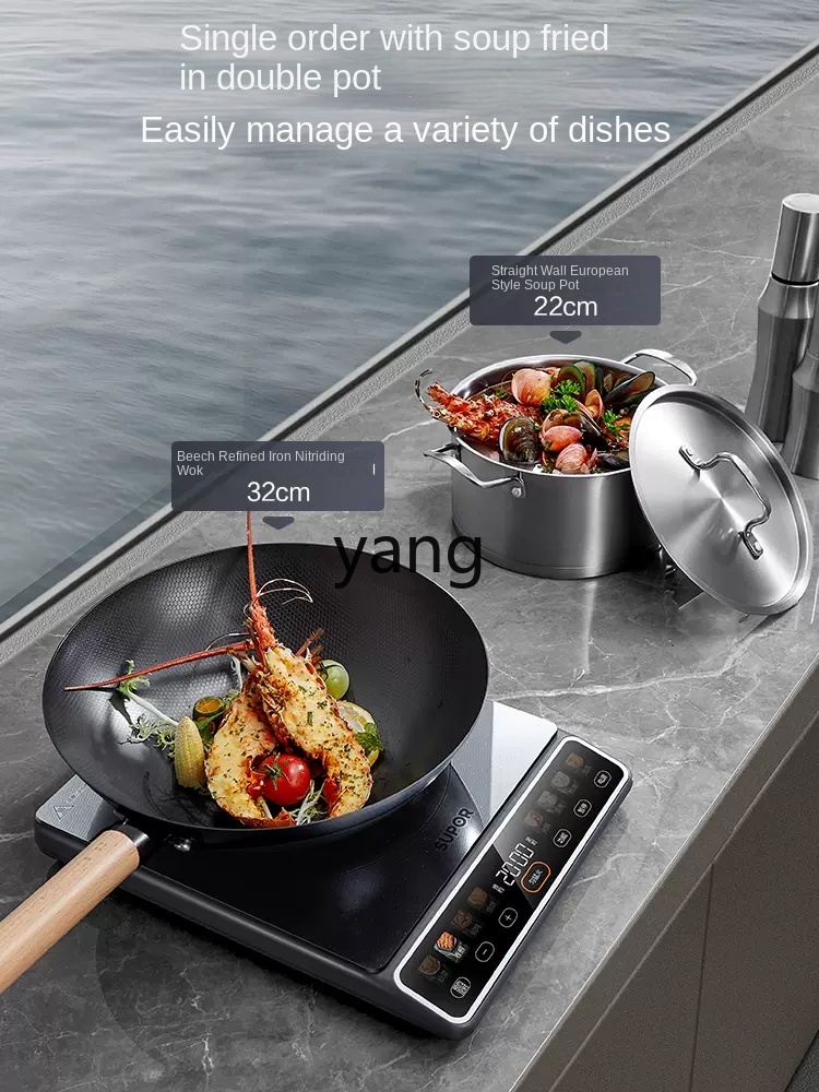 Fornello a Induzione Domestico - Induction Cooker recensione e prezzo