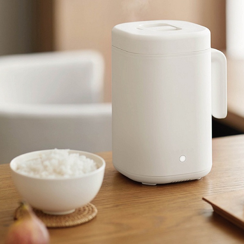 Cuociriso Intelligente da 300W - Rice Cooker recensione e prezzo